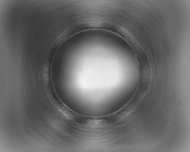 X0000071940497200607071148