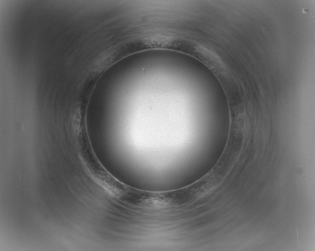 X0000071940498200607071148