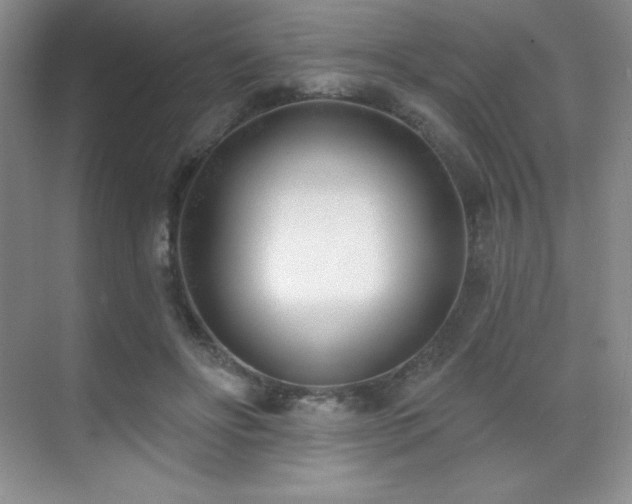 X0000071940502200607071148