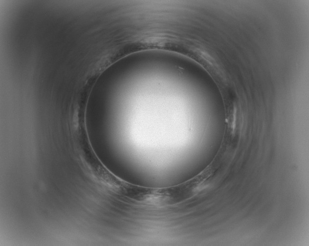 X0000071940504200607071148