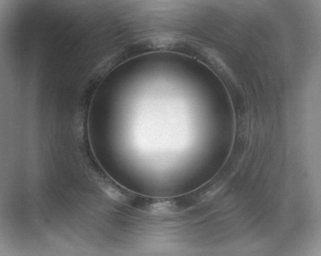 X0000071940505200607071148