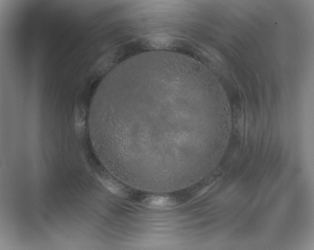 X0000071940507200607071147