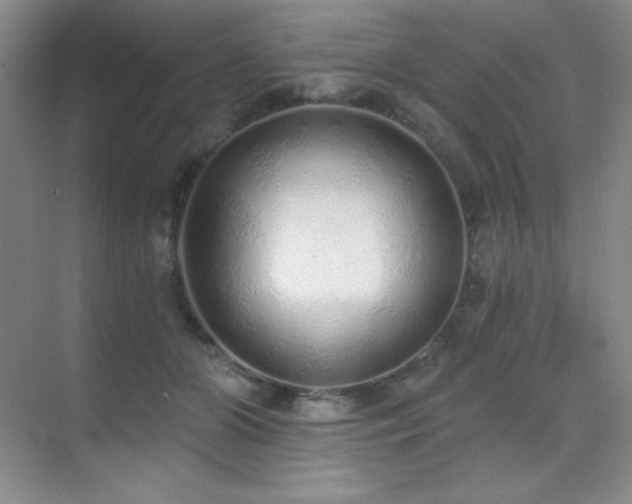 X0000071940510200607071147