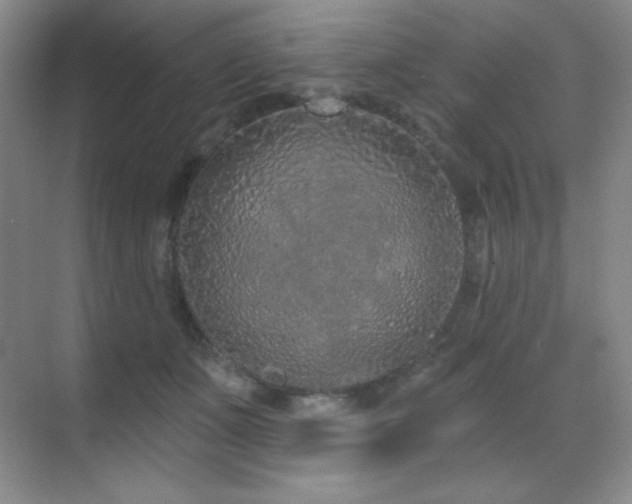 X0000071940511200607071147
