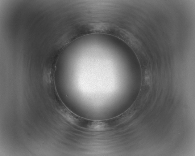 X0000071940514200607071147