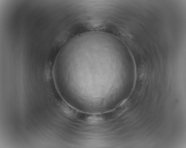 X0000071940515200607071147