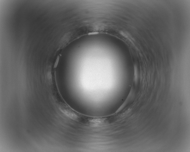 X0000071940516200607071147