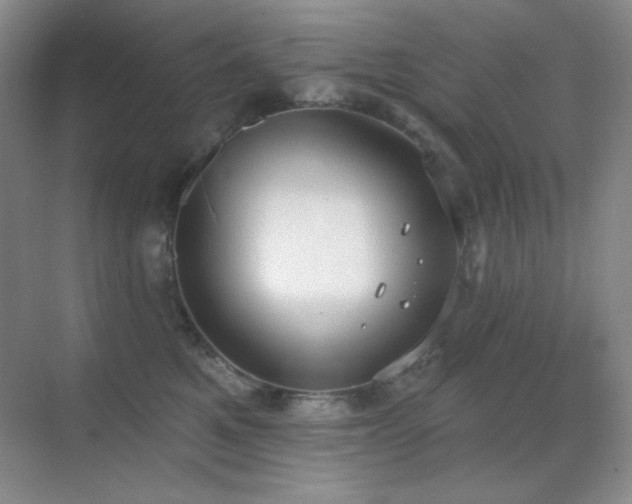 X0000071940521200607071147
