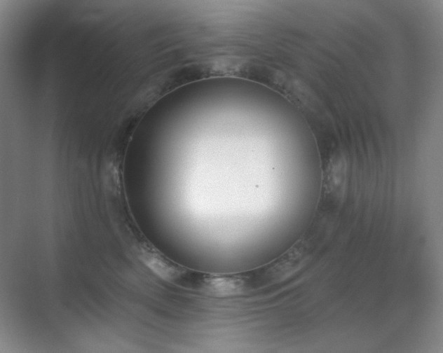 X0000071940522200607071147