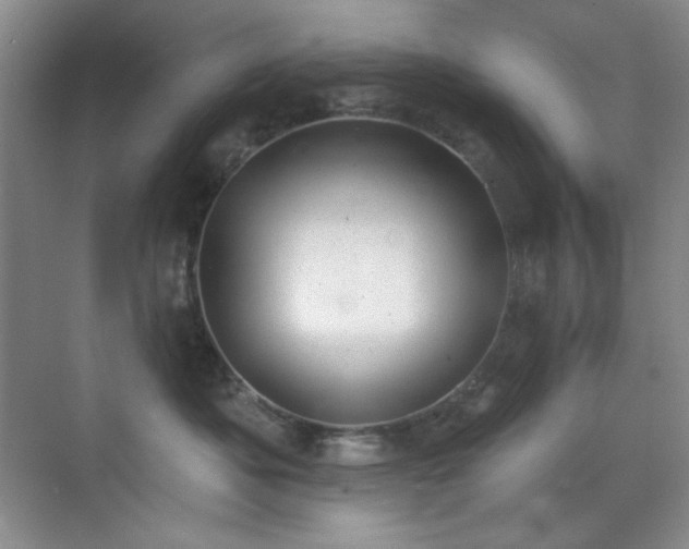 X0000071940525200607071147