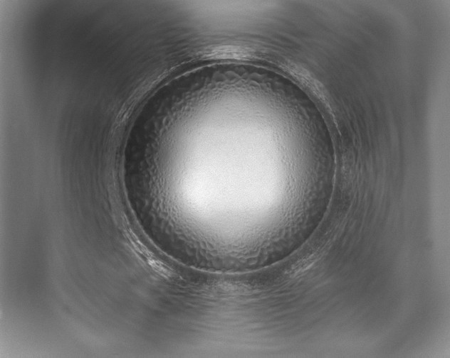 X0000071940529200607071146