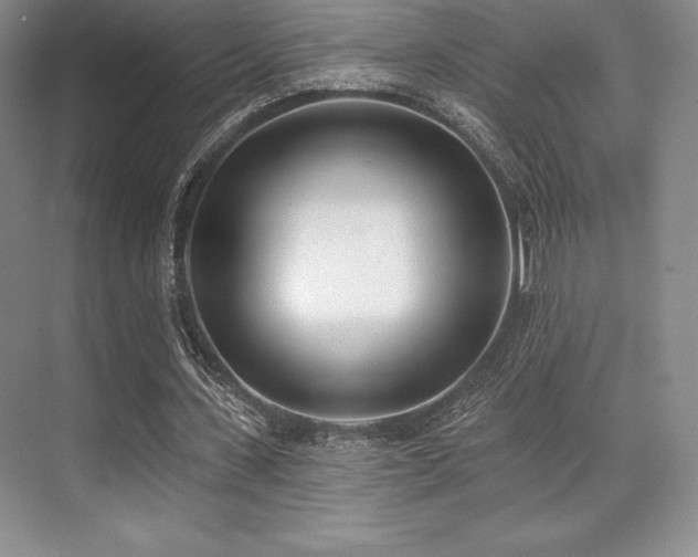 X0000071940531200607071146