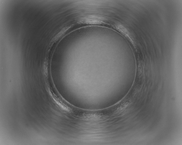 X0000071940533200607071146
