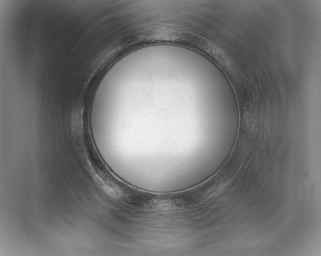 X0000071940534200607071146