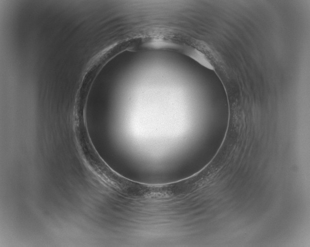 X0000071940536200607071146