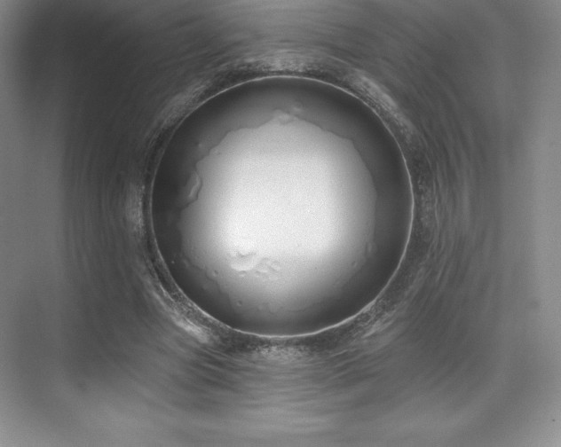 X0000071940537200607071146