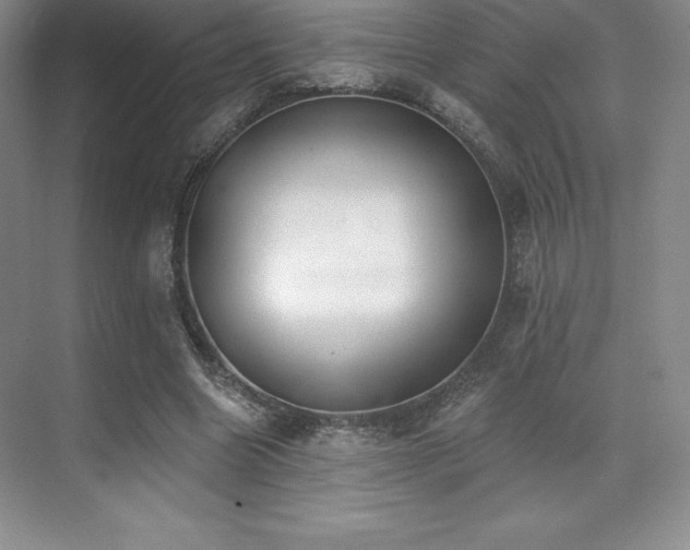 X0000071940538200607071146