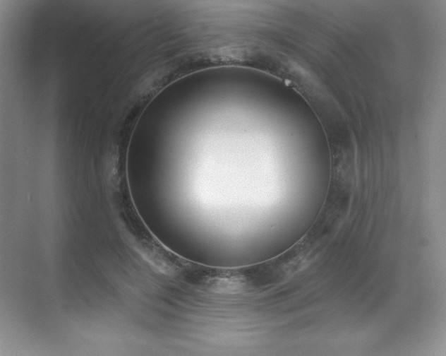 X0000071940548200607071147