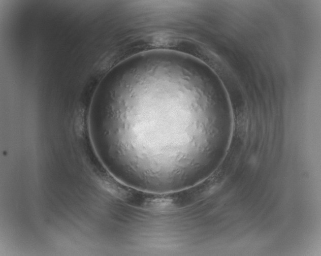 X0000071940554200607071147