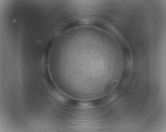 X0000071940557200607071147