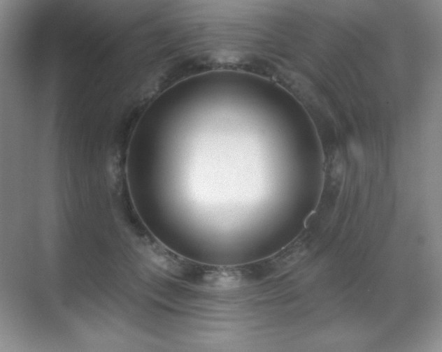 X0000071940559200607071147