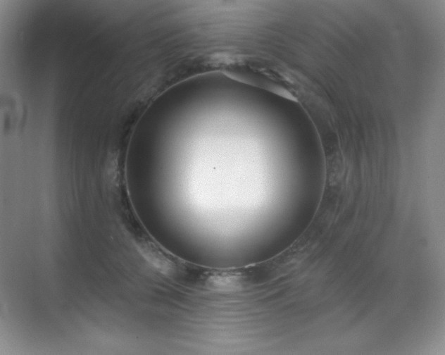 X0000071940560200607071147
