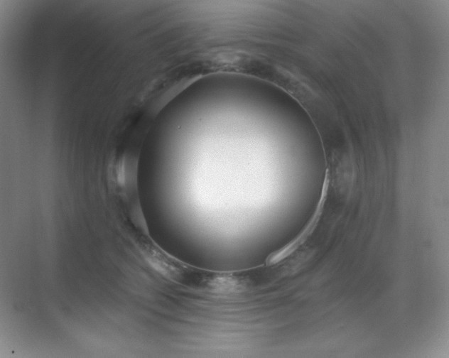 X0000071940562200607071147
