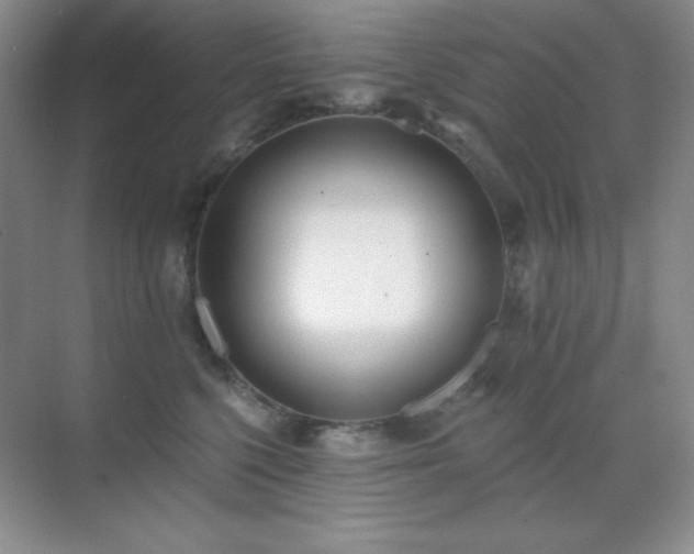 X0000071940568200607071147
