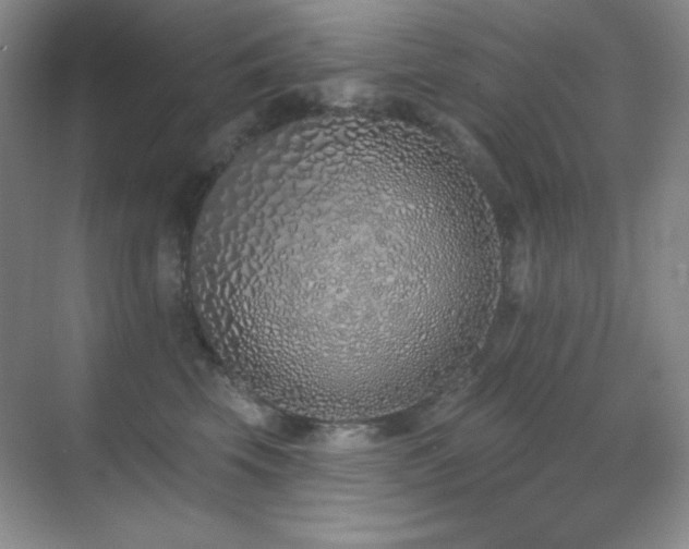 X0000071940569200607071147