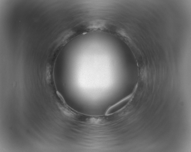 X0000071940570200607071147