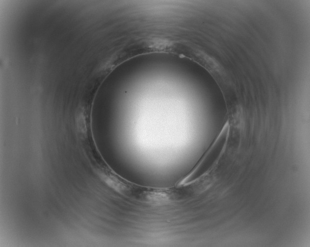 X0000071940572200607071147