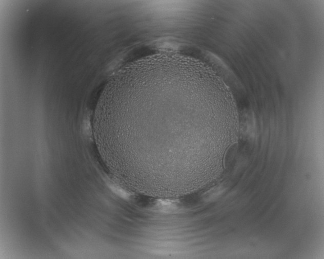 X0000071940573200607071147