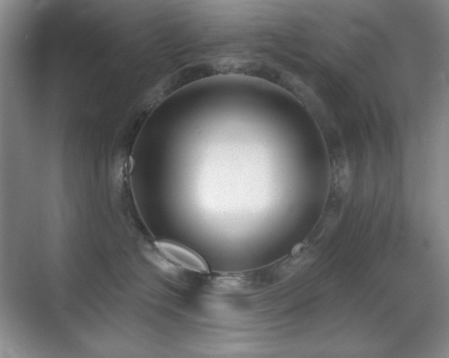 X0000071940574200607071147