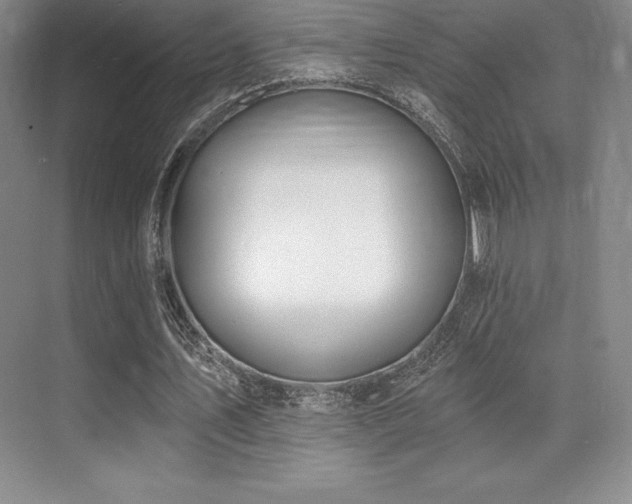X0000071940579200607071146