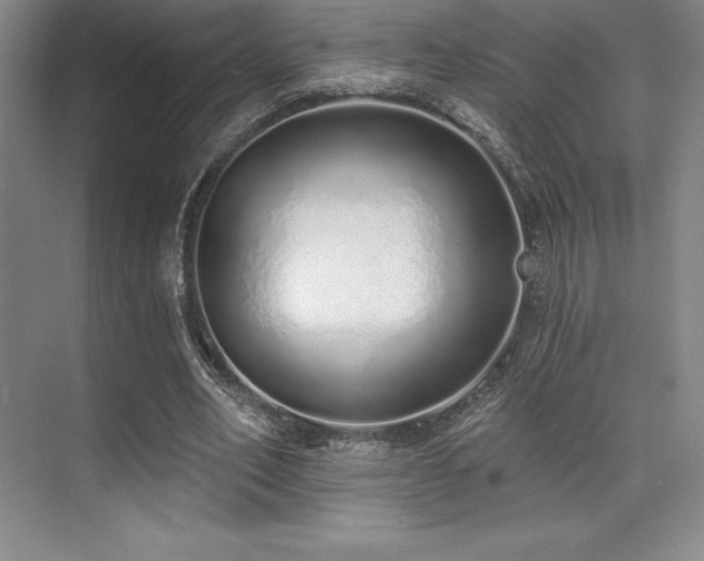 X0000071940582200607071146