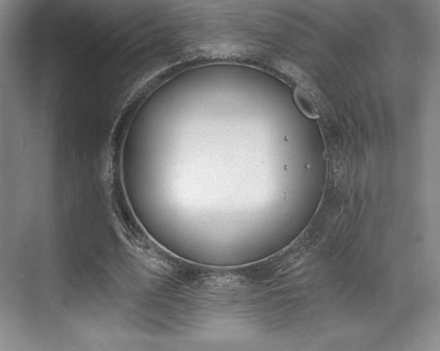 X0000071940583200607071146