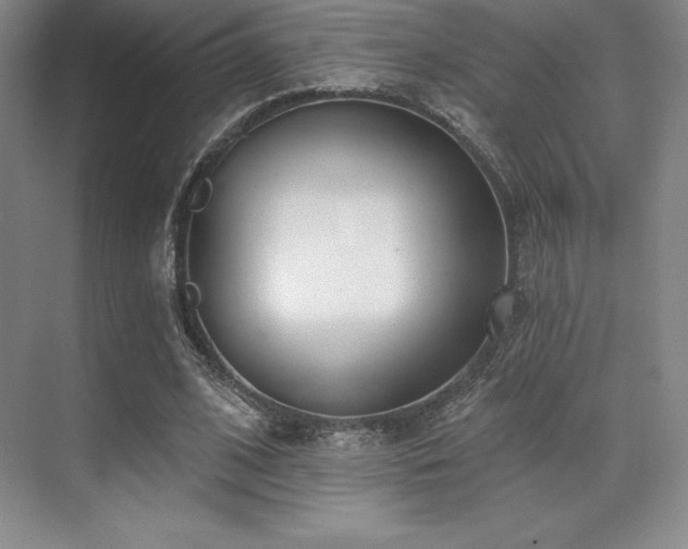 X0000071940584200607071146