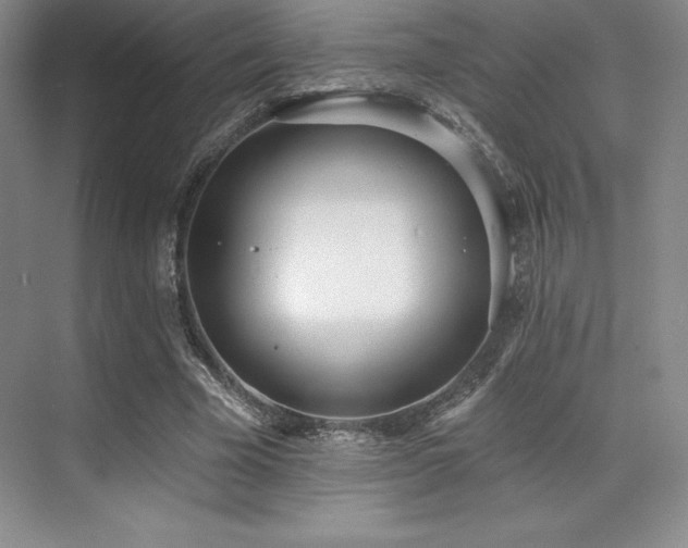 X0000071940585200607071146