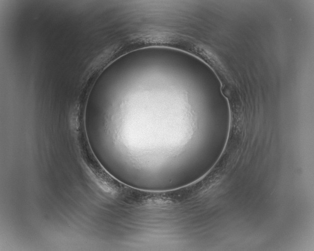 X0000071940586200607071146