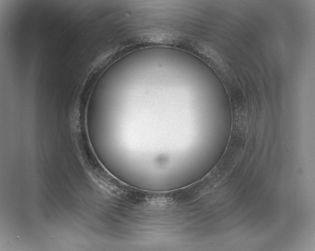 X0000071940587200607071146