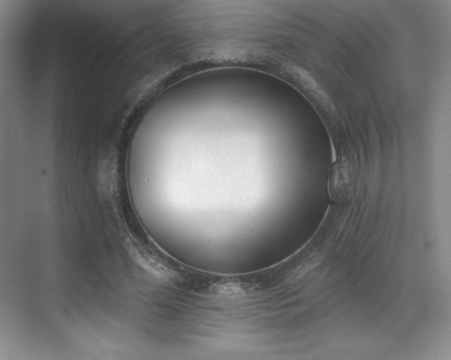 X0000071940588200607071146