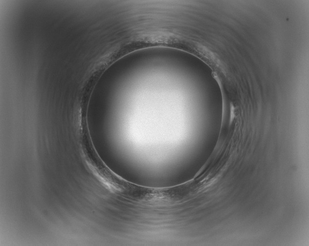 X0000071940589200607071146