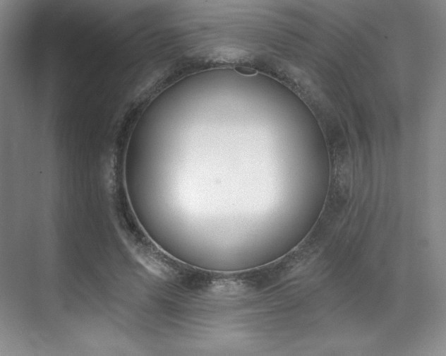 X0000071940591200607071146