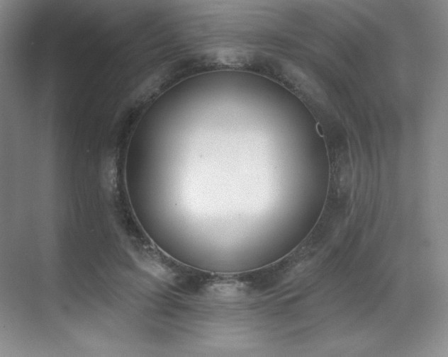 X0000071940595200607071146