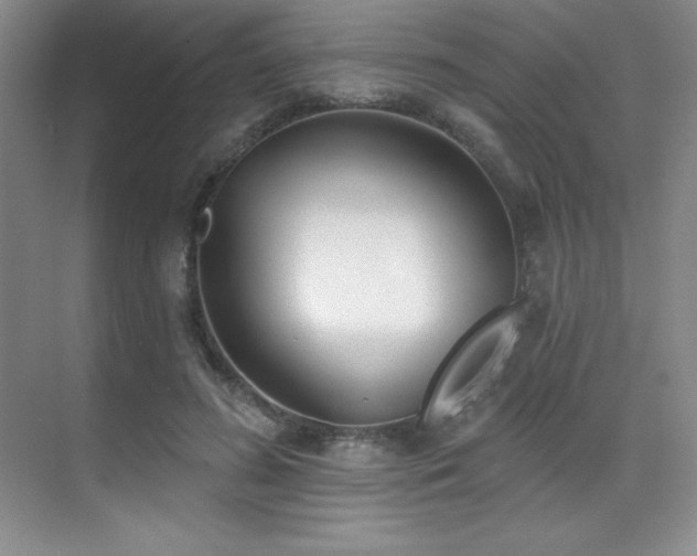 X0000071940596200607071146