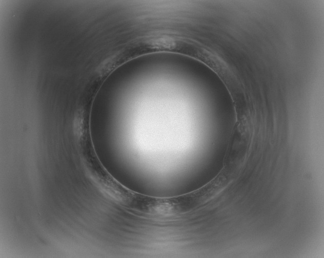 X0000071940600200607071146