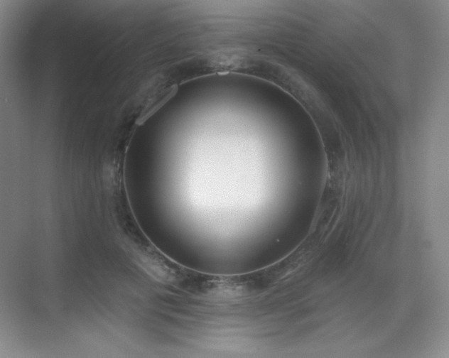 X0000071940601200607071146