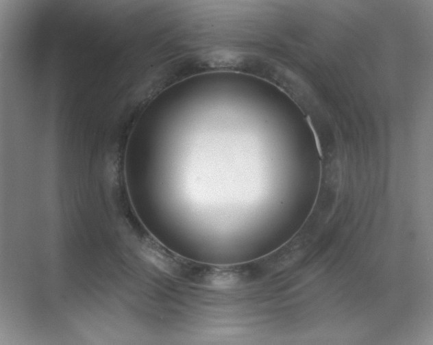 X0000071940604200607071146