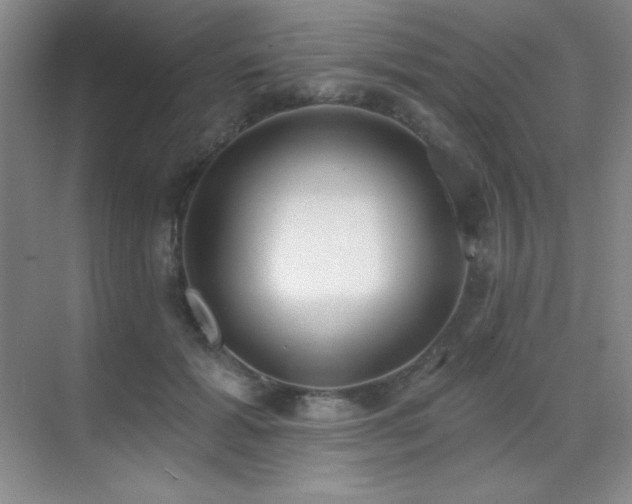 X0000071940605200607071146