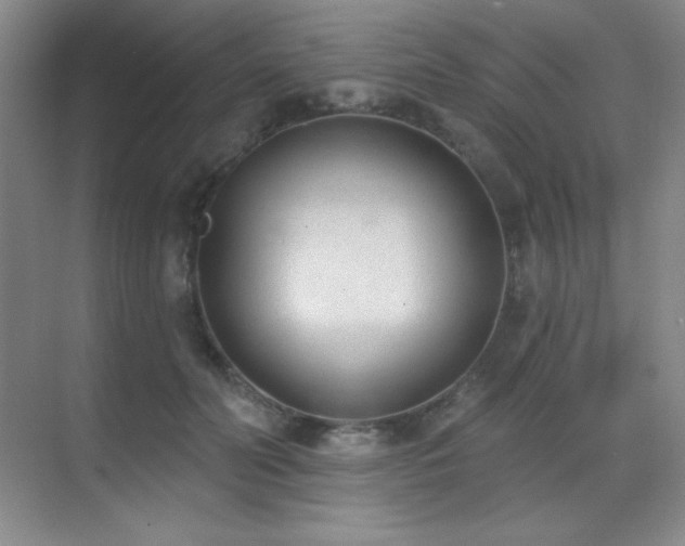 X0000071940606200607071146